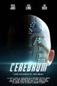 cerebrum 2021